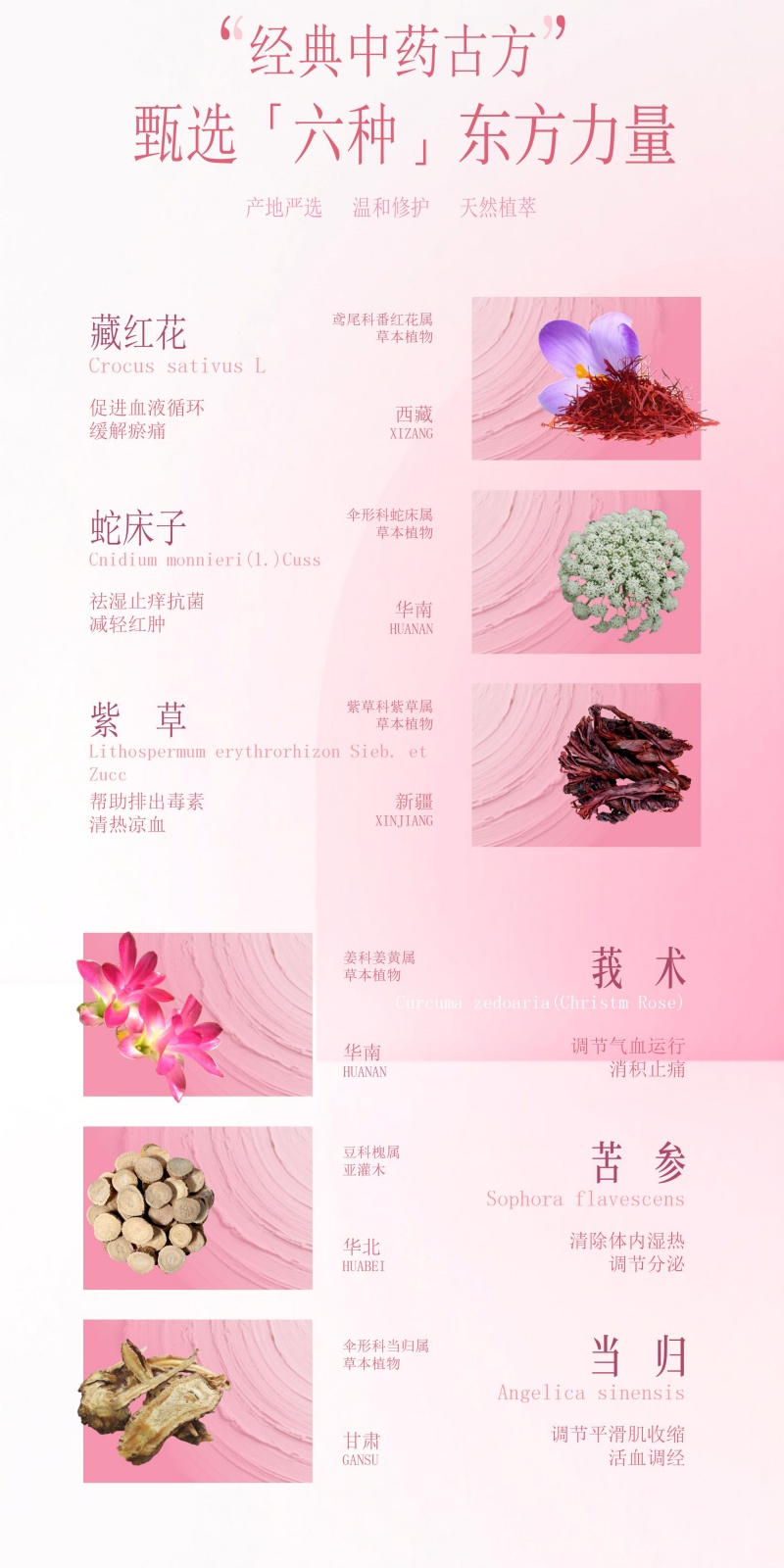 竖图详情页(1)_08.jpg